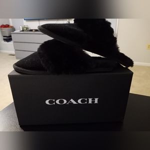 Coach Slippers